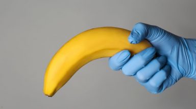 A gloved hand holding a banana.